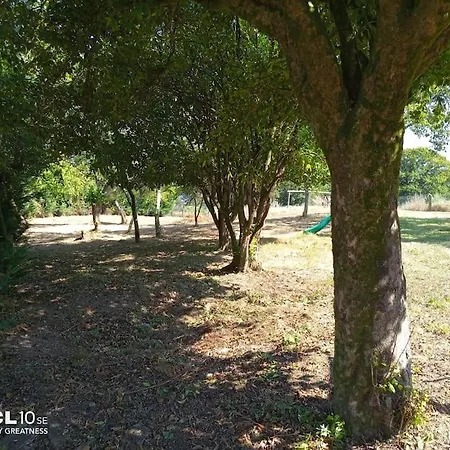 Alquiler Vacacional Casa Olguita En Luneda *